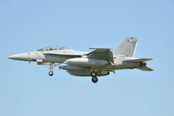 Cazino Crypto Wild Cazinou Suport